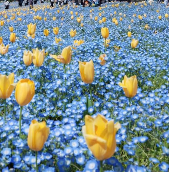 りか★至高の癒し